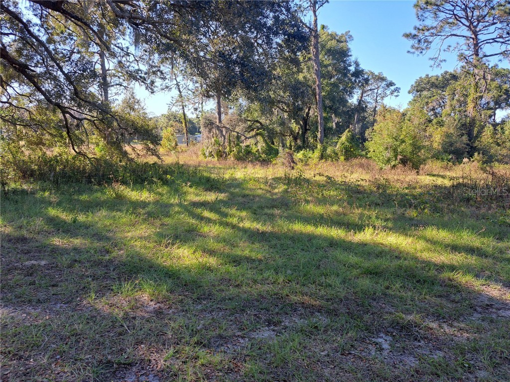 11309 SE Hwy 42 Summerfield FL 34491 OM713644 image4