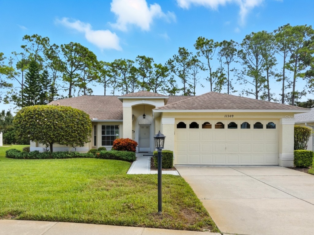 11309 Sun Tree Road Hudson FL 34667 W7879431 image4