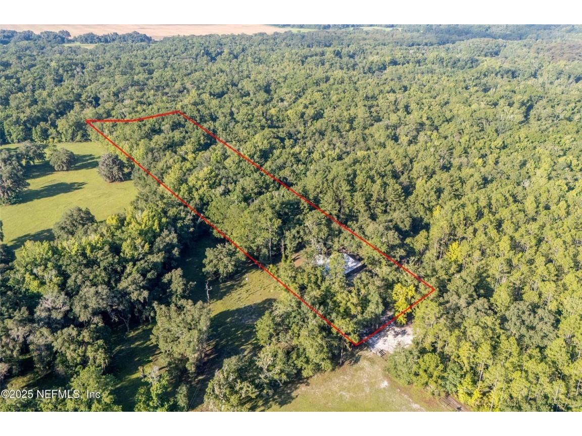 11309 SW 167th Circle Brooker FL 32622 - SANTA FE RIVER GC533932 image2