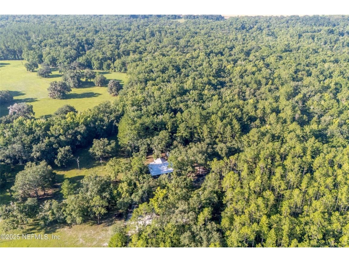 11309 SW 167th Circle Brooker FL 32622 - SANTA FE RIVER GC533932 image49