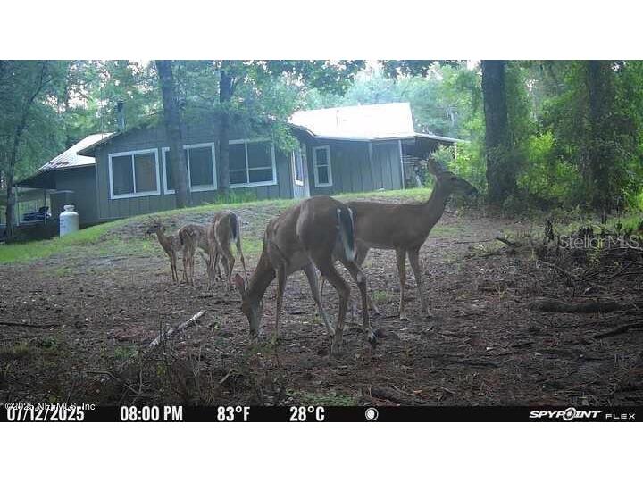 11309 SW 167th Circle Brooker FL 32622 - SANTA FE RIVER GC533932 image51