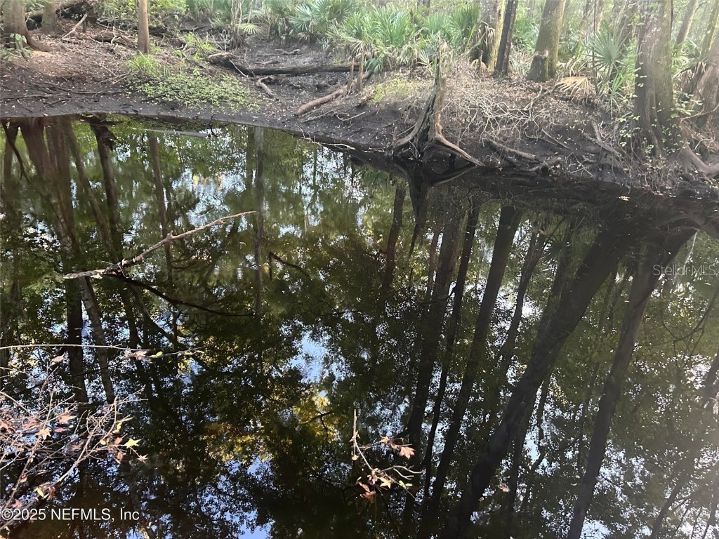 11309 SW 167th Circle Brooker FL 32622 - SANTA FE RIVER GC533932 image53