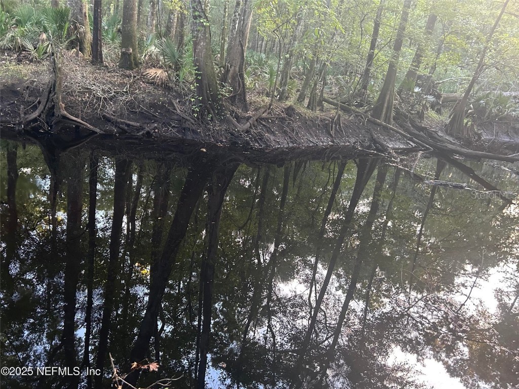 11309 SW 167th Circle Brooker FL 32622 - SANTA FE RIVER GC533932 image54