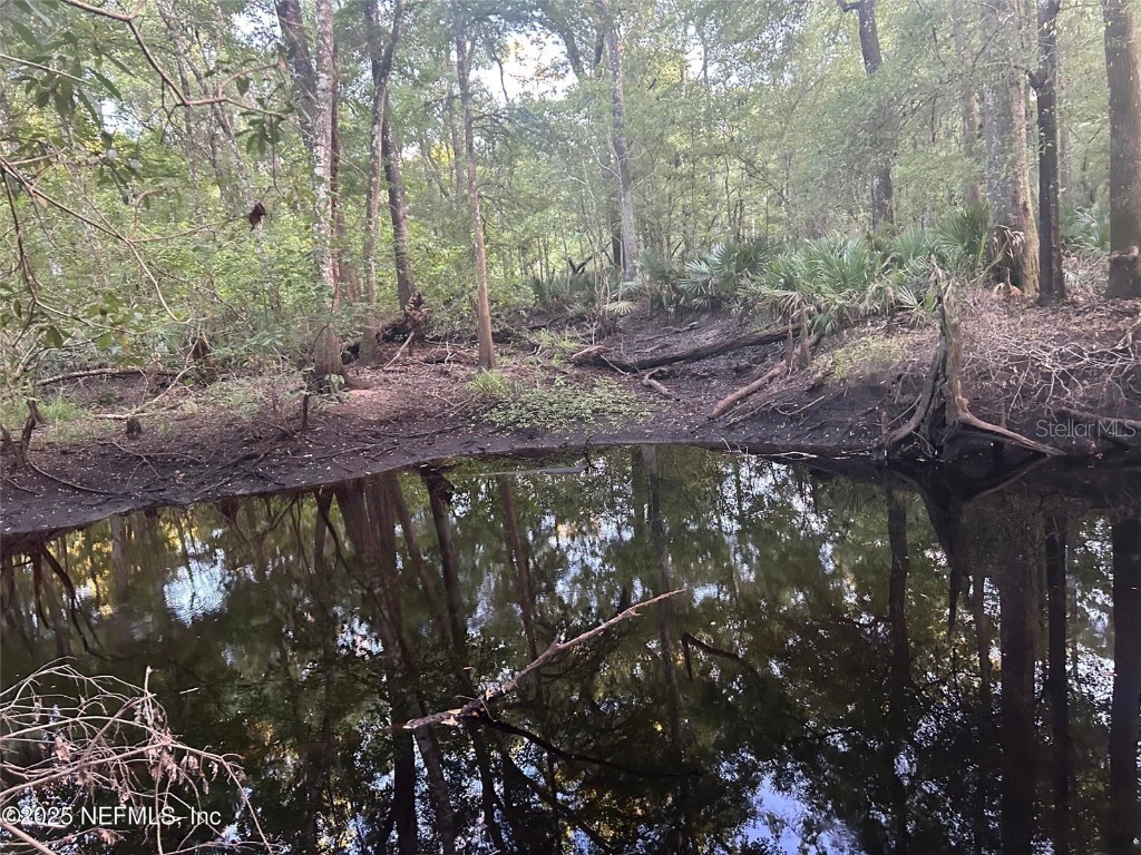 11309 SW 167th Circle Brooker FL 32622 - SANTA FE RIVER GC533932 image55