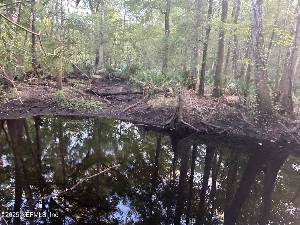 11309 SW 167th Circle Brooker FL 32622 - SANTA FE RIVER GC533932 image56