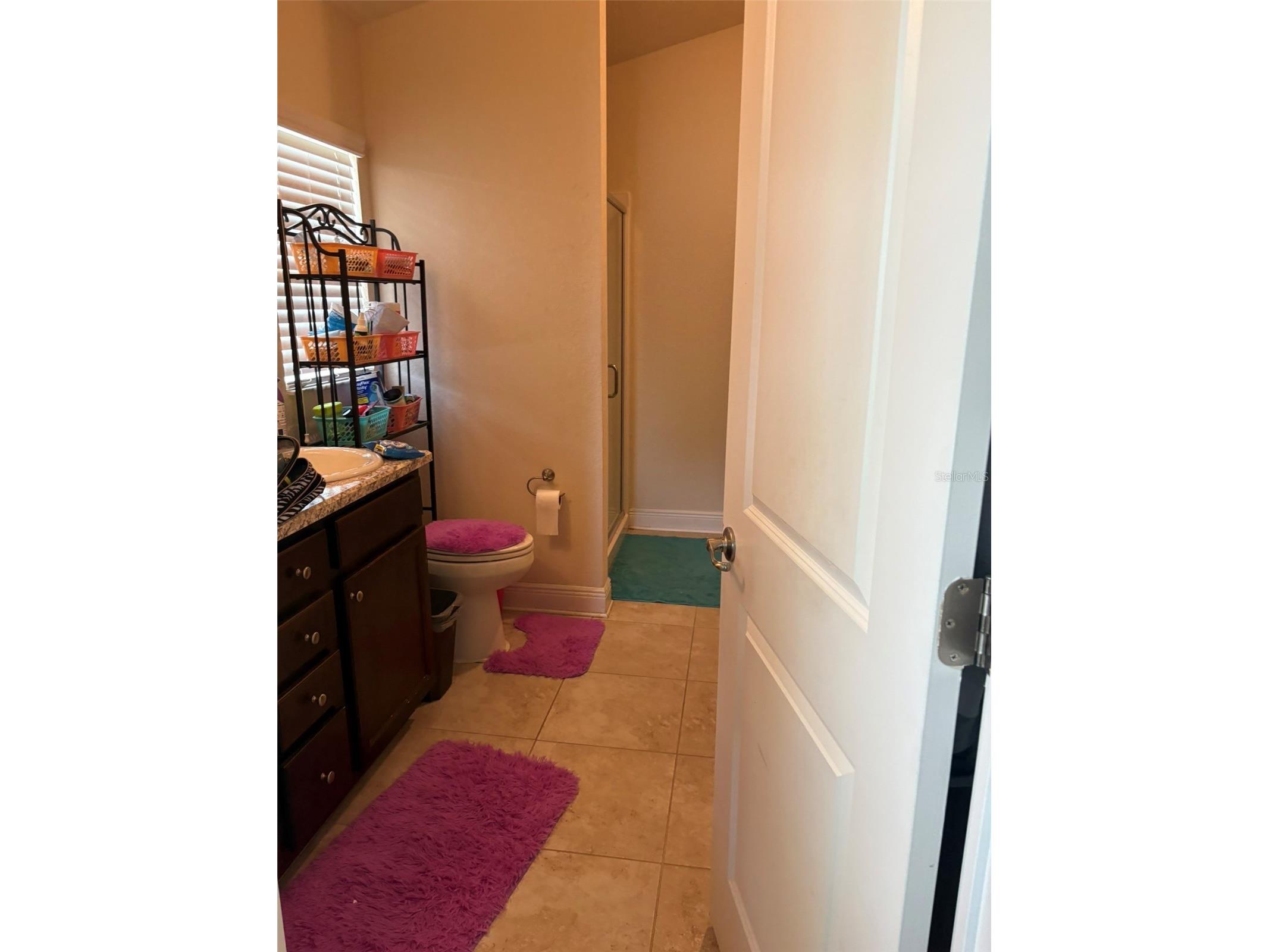 1131 Allegro Place Dundee FL 33838 O6422374 image3