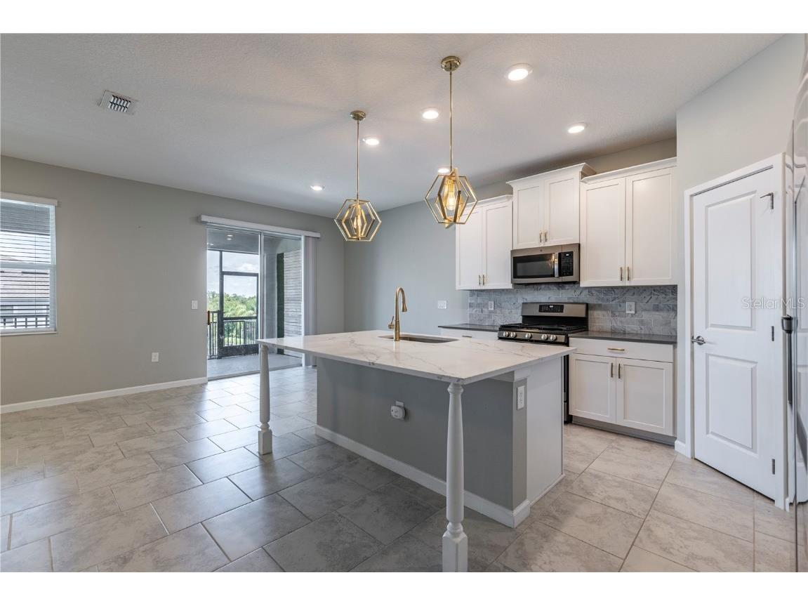 1131 Dora Parc Lane Mount Dora FL 32757 - LAKE DORA G5098563 image21