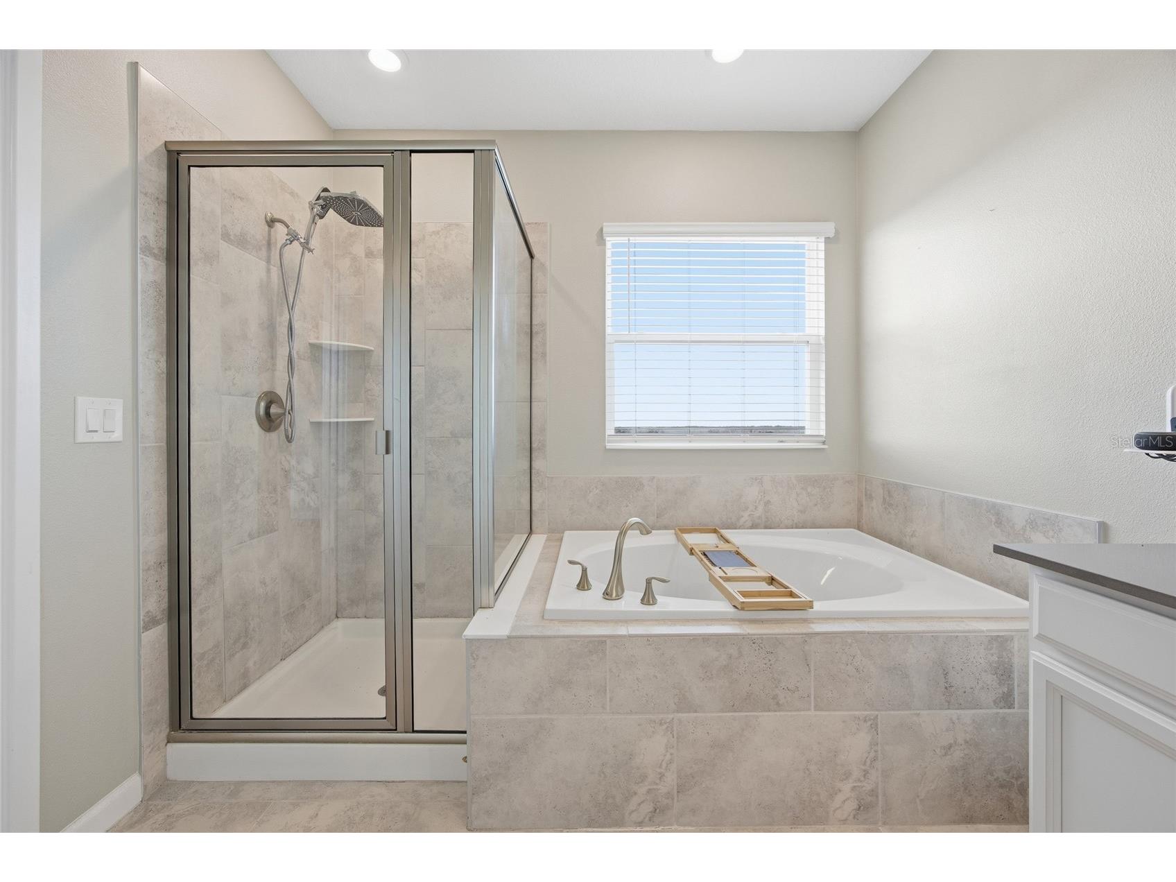 1131 Dora Parc Lane Mount Dora FL 32757 - LAKE DORA O6388381 image28