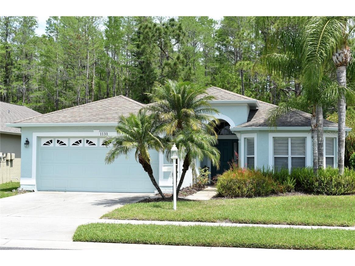 1131 Dustan Place Trinity FL 34655 U8196346 image1