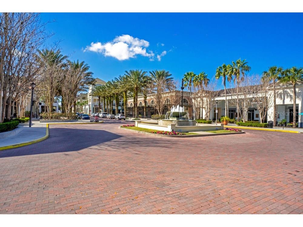 1131 Fern Avenue Orlando FL 32814 O6346976 image59