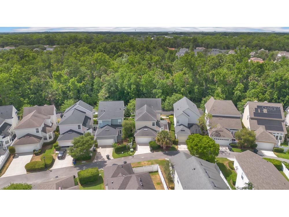 1131 Indigo Drive Celebration FL 34747 O6304881 image29