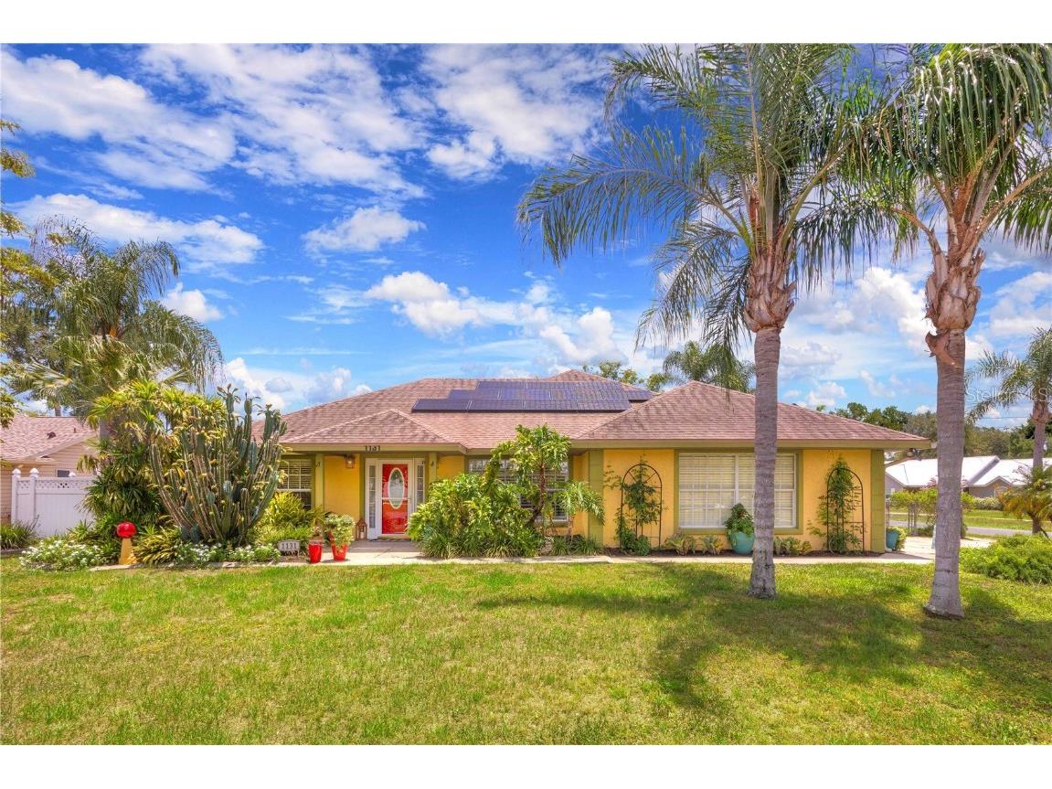 1131 Lemonwood Avenue Deland FL 32724 V4943419 image1
