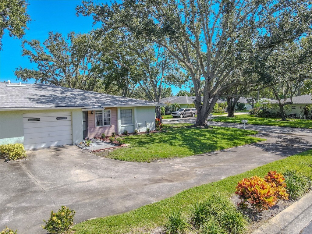 1131 Orange Tree Circle W #C Palm Harbor FL 34684 TB8427694 image1