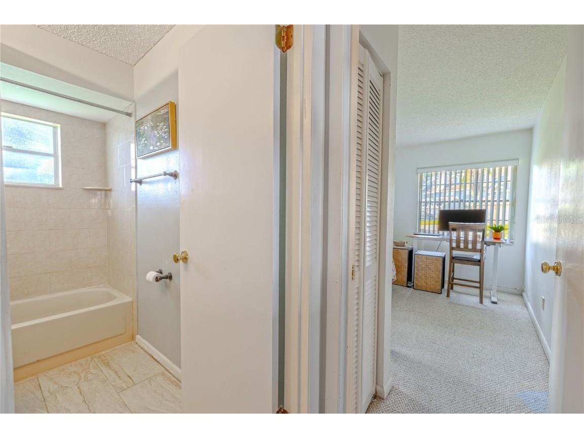 1131 Orange Tree Circle W #C Palm Harbor FL 34684 TB8427694 image18