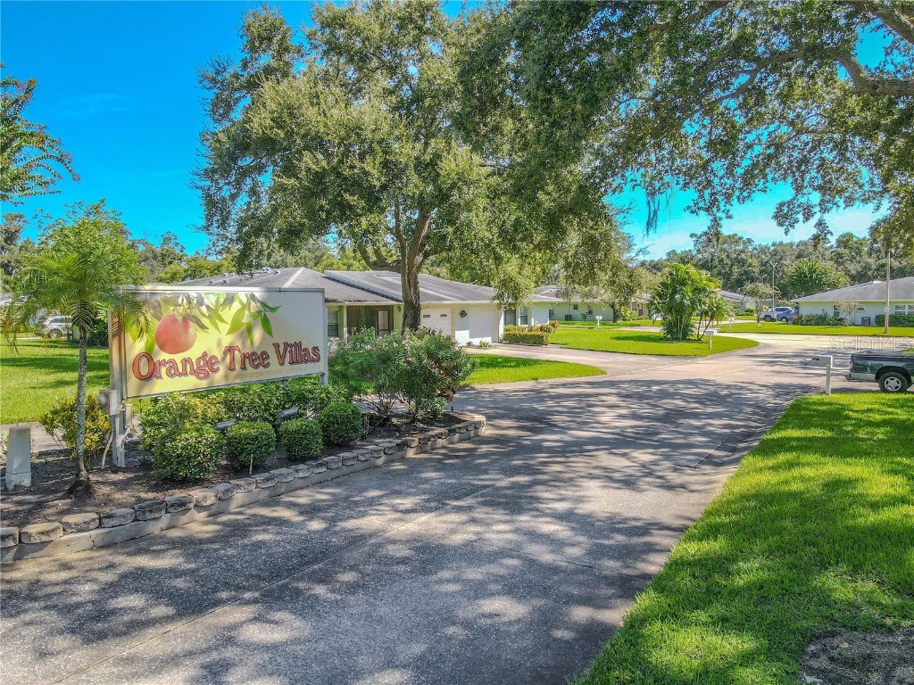 1131 Orange Tree Circle W #C Palm Harbor FL 34684 TB8427694 image27