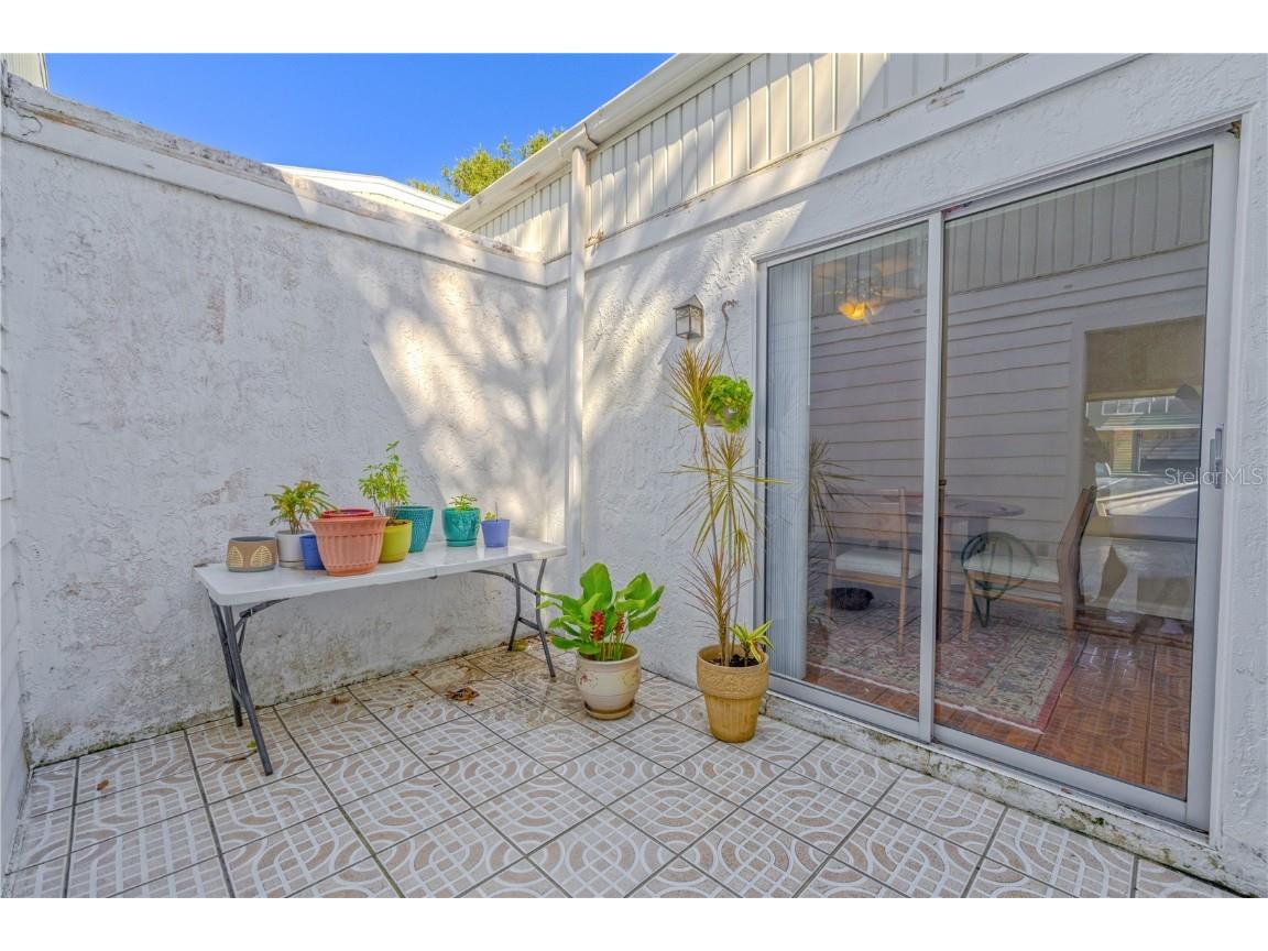 1131 Orange Tree Circle W #C Palm Harbor FL 34684 TB8427694 image3