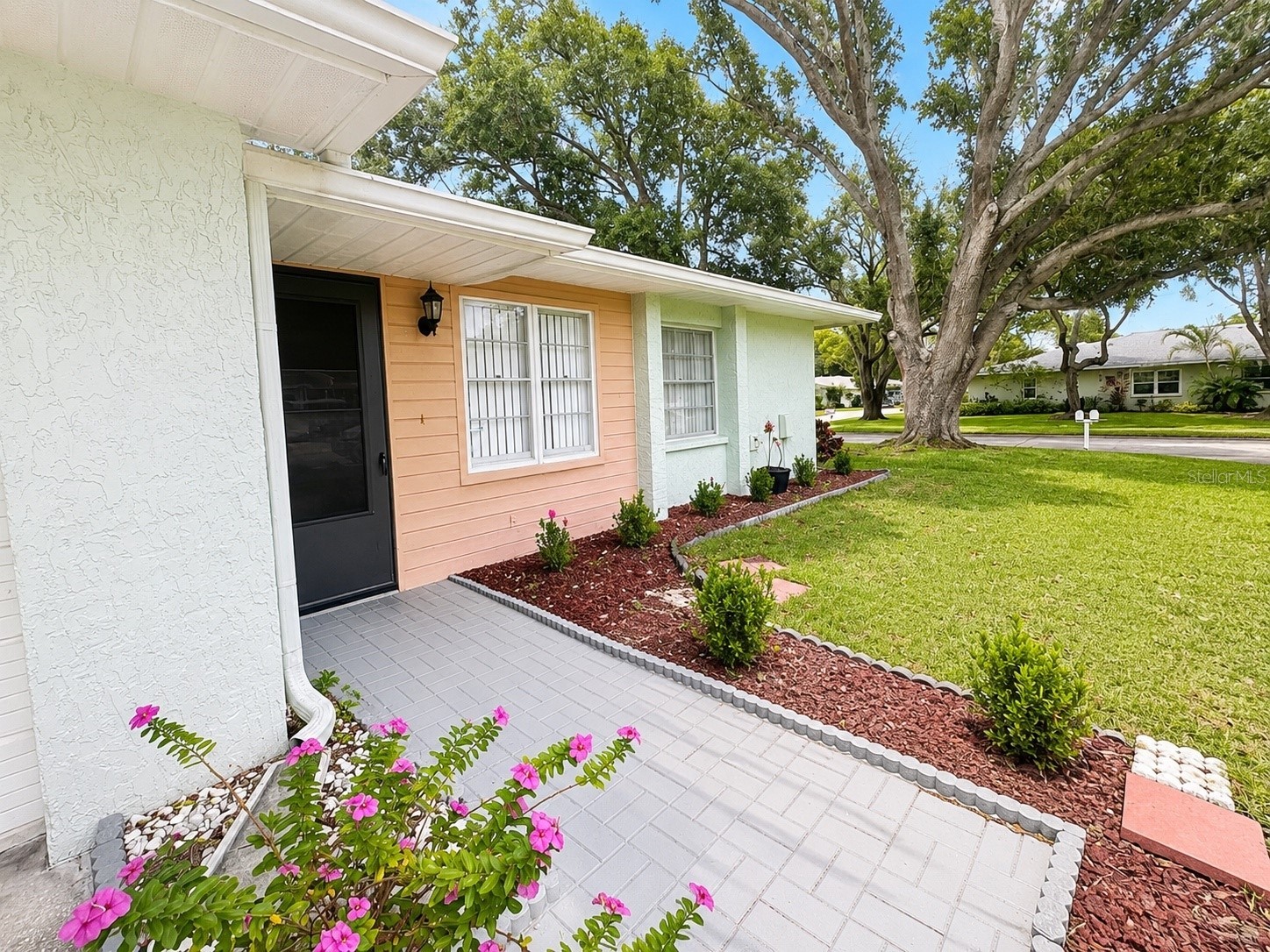 1131 Orange Tree Circle W #C Palm Harbor FL 34684 TB8525462 image1