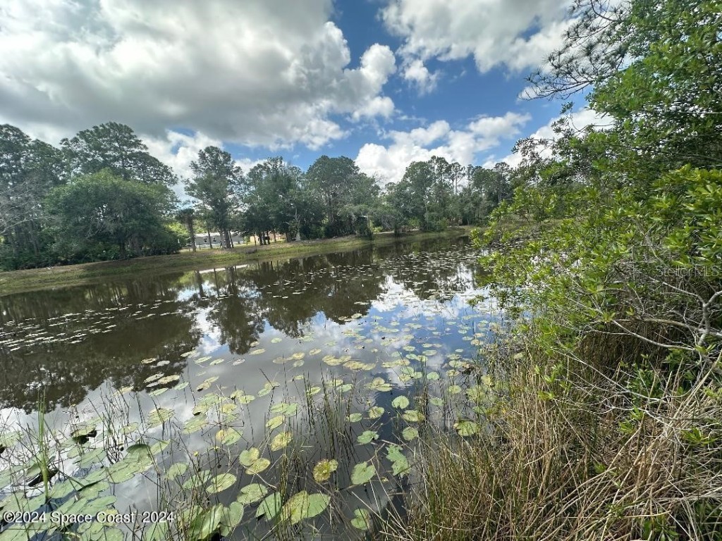 1131 Owl Circle Mims FL 32754 V4938764 image1