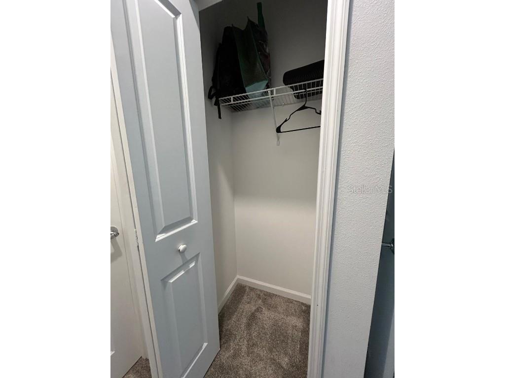 1131 Pomelo Street Davenport FL 33837 S5133978 image18