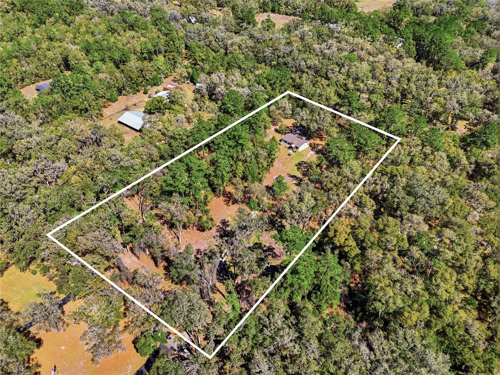 1131 SW 166th Street Newberry FL 32669 GC538076 image5