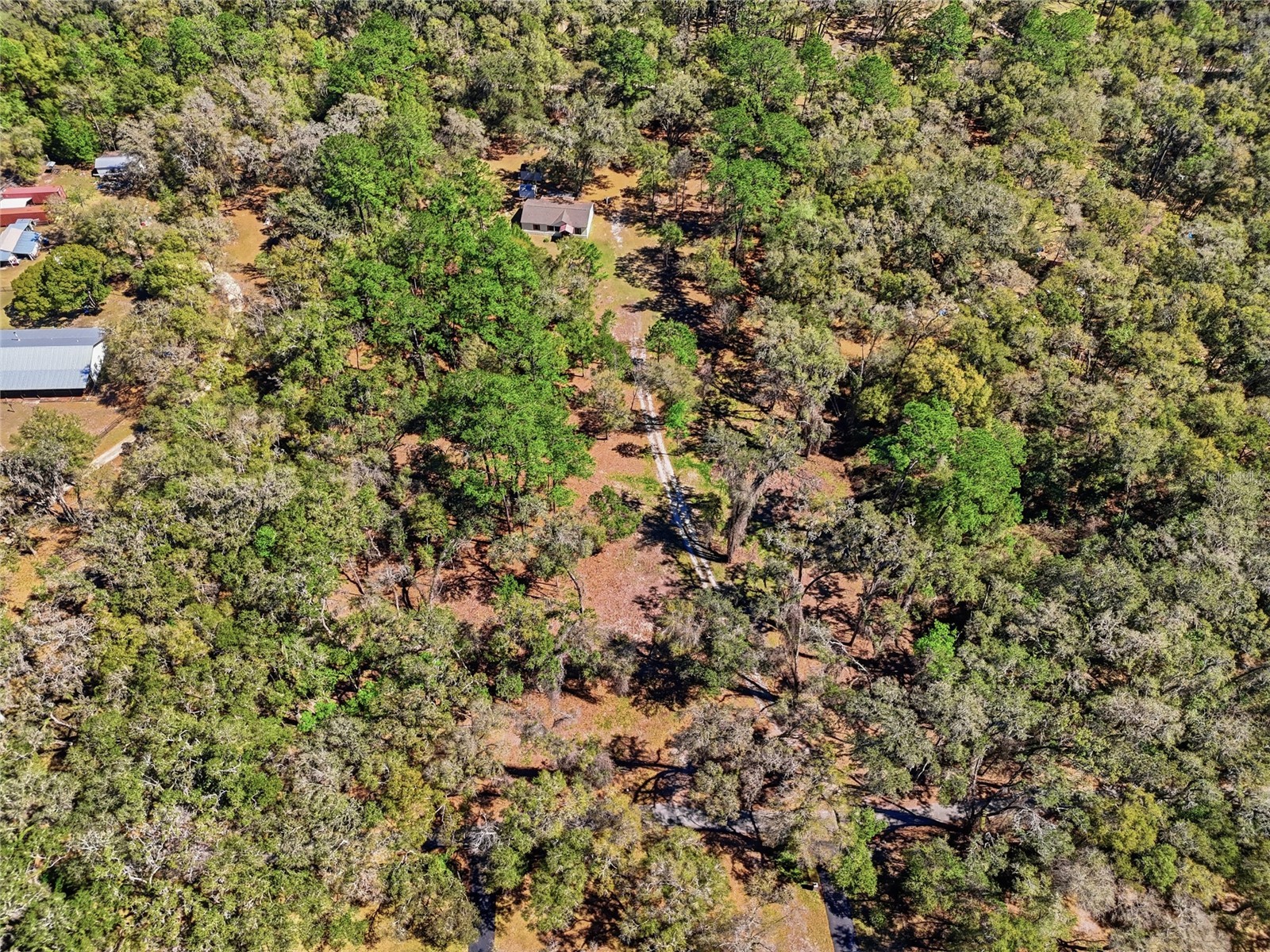 1131 SW 166th Street Newberry FL 32669 GC538076 image7