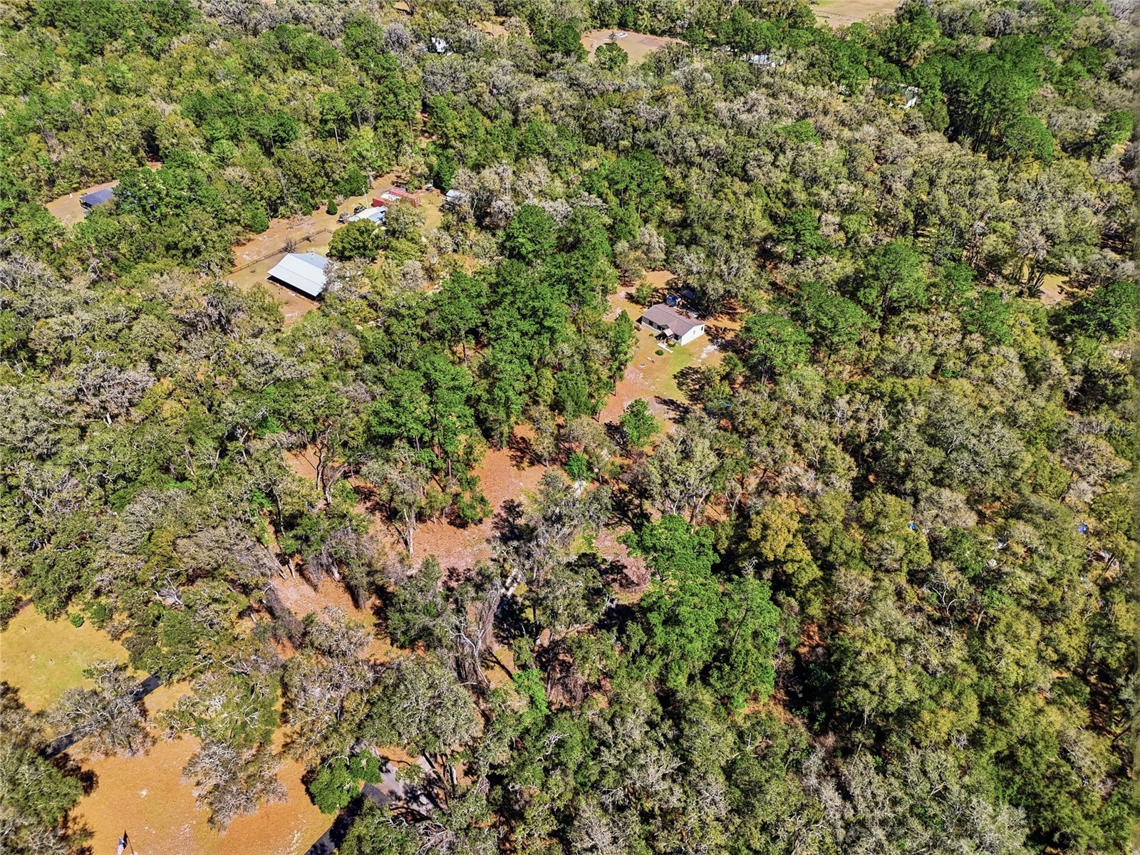 1131 SW 166th Street Newberry FL 32669 GC538076 image8