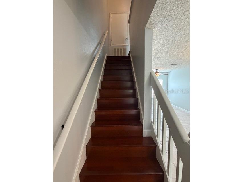 11310 Cayman Key Avenue Tampa FL 33624 TB8464511 image11