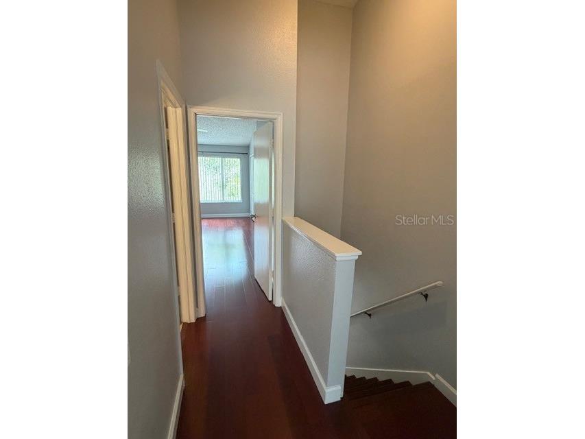 11310 Cayman Key Avenue Tampa FL 33624 TB8464511 image12