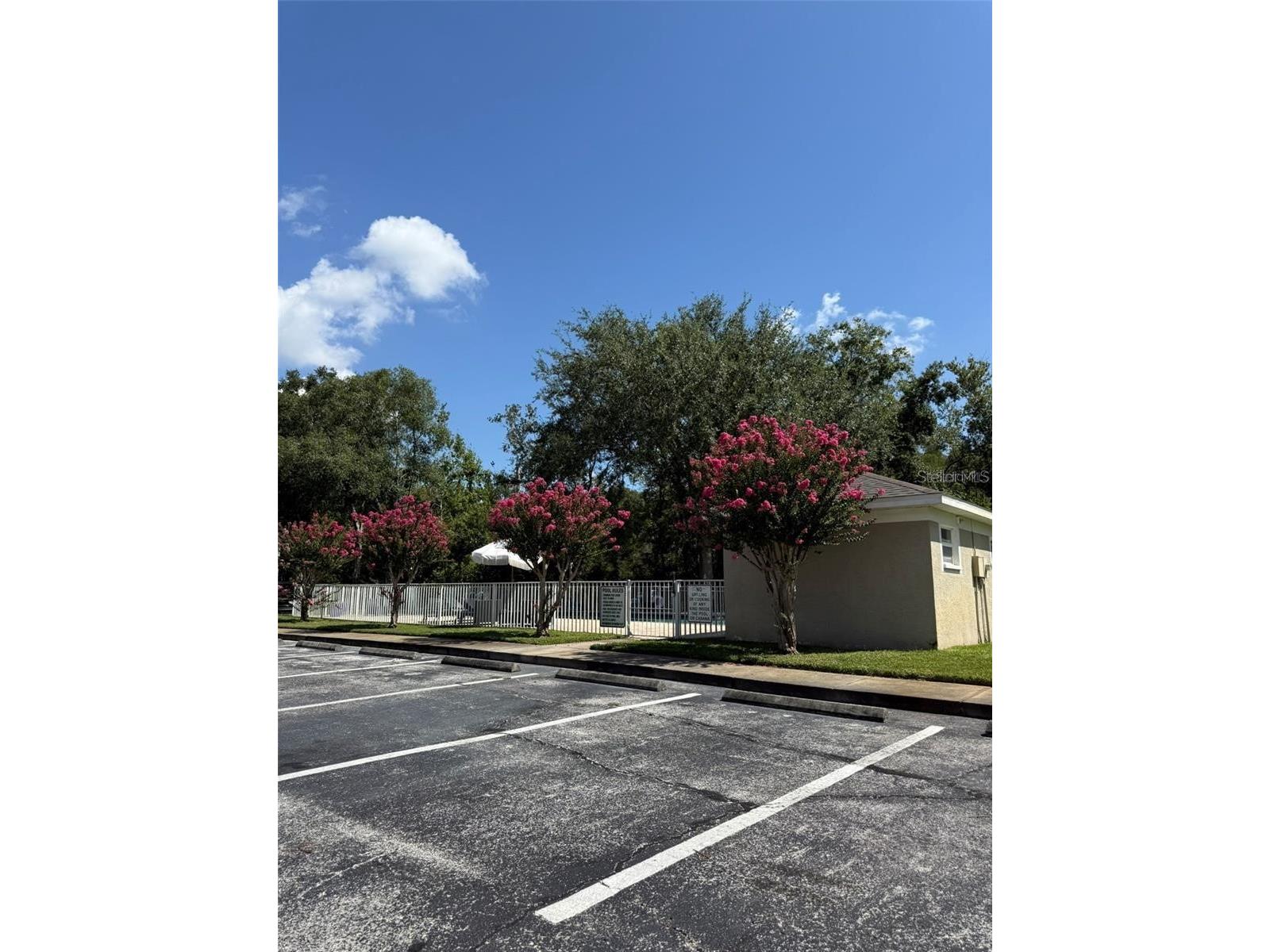 11310 Cayman Key Avenue Tampa FL 33624 TB8464511 image24