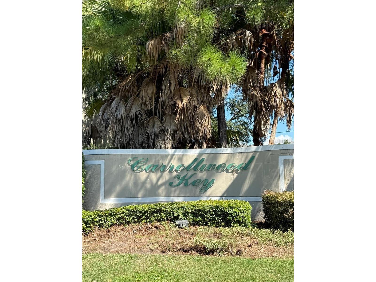 11310 Cayman Key Avenue Tampa FL 33624 TB8464511 image29