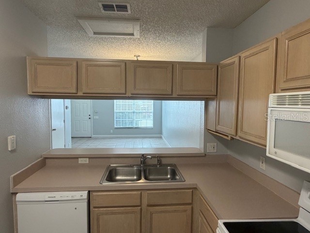 11310 Cayman Key Avenue Tampa FL 33624 TB8464511 image7
