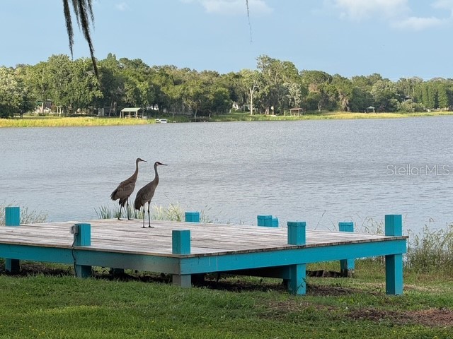 11310 Donneymoor Drive Riverview FL 33569 - LAKE GRADY TB8523420 image72