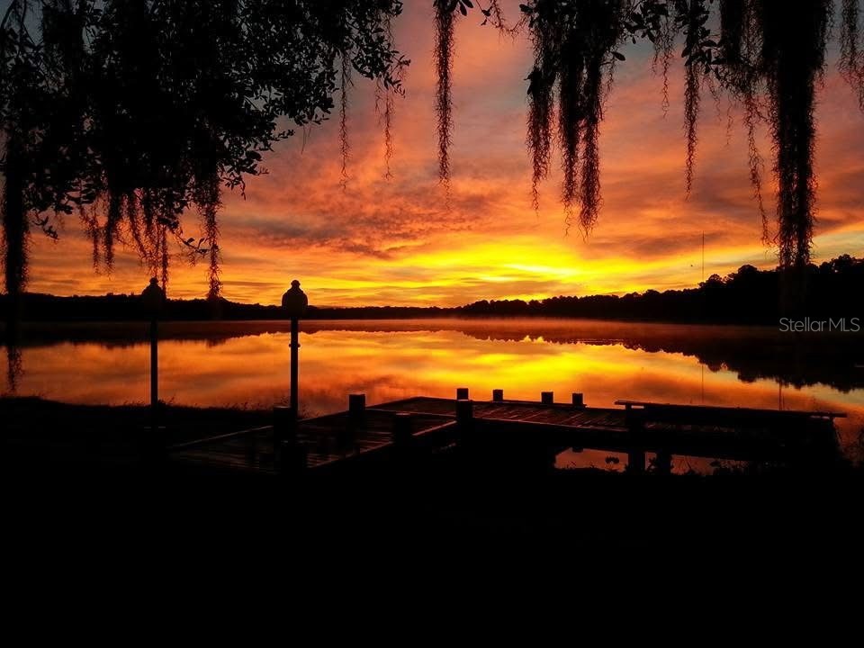 11310 Donneymoor Drive Riverview FL 33569 - LAKE GRADY TB8523420 image74