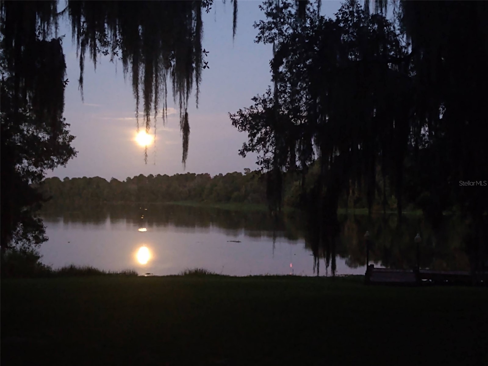 11310 Donneymoor Drive Riverview FL 33569 - LAKE GRADY TB8523420 image75
