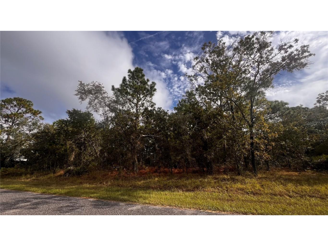 11310 Lapwing Road Weeki Wachee FL 34614 W7879783 image10