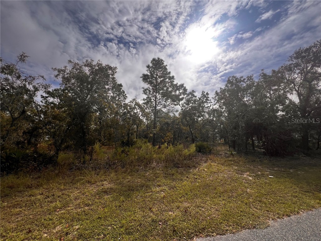 11310 Lapwing Road Weeki Wachee FL 34614 W7879783 image3