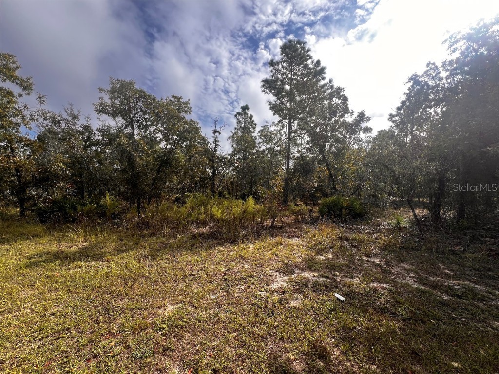 11310 Lapwing Road Weeki Wachee FL 34614 W7879783 image5