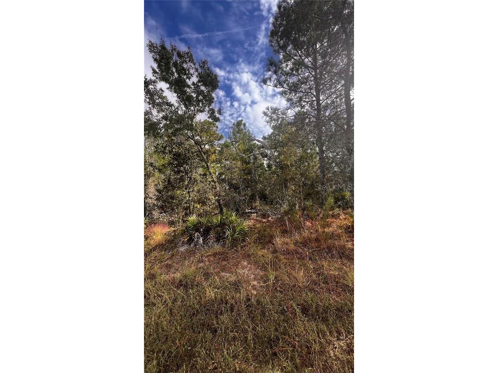 11310 Lapwing Road Weeki Wachee FL 34614 W7879783 image7