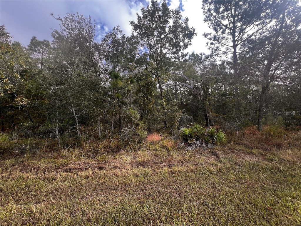 11310 Lapwing Road Weeki Wachee FL 34614 W7879783 image8