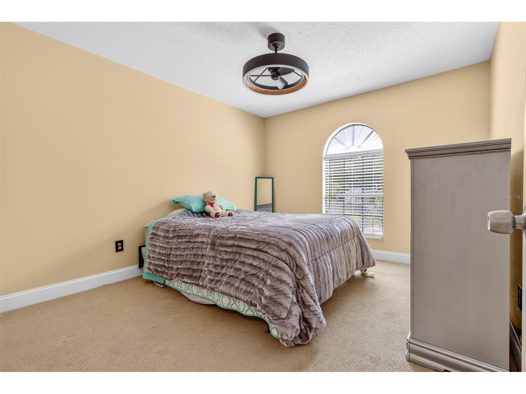 11310 Linarbor Place Tampa FL 33617 TB8508653 image19