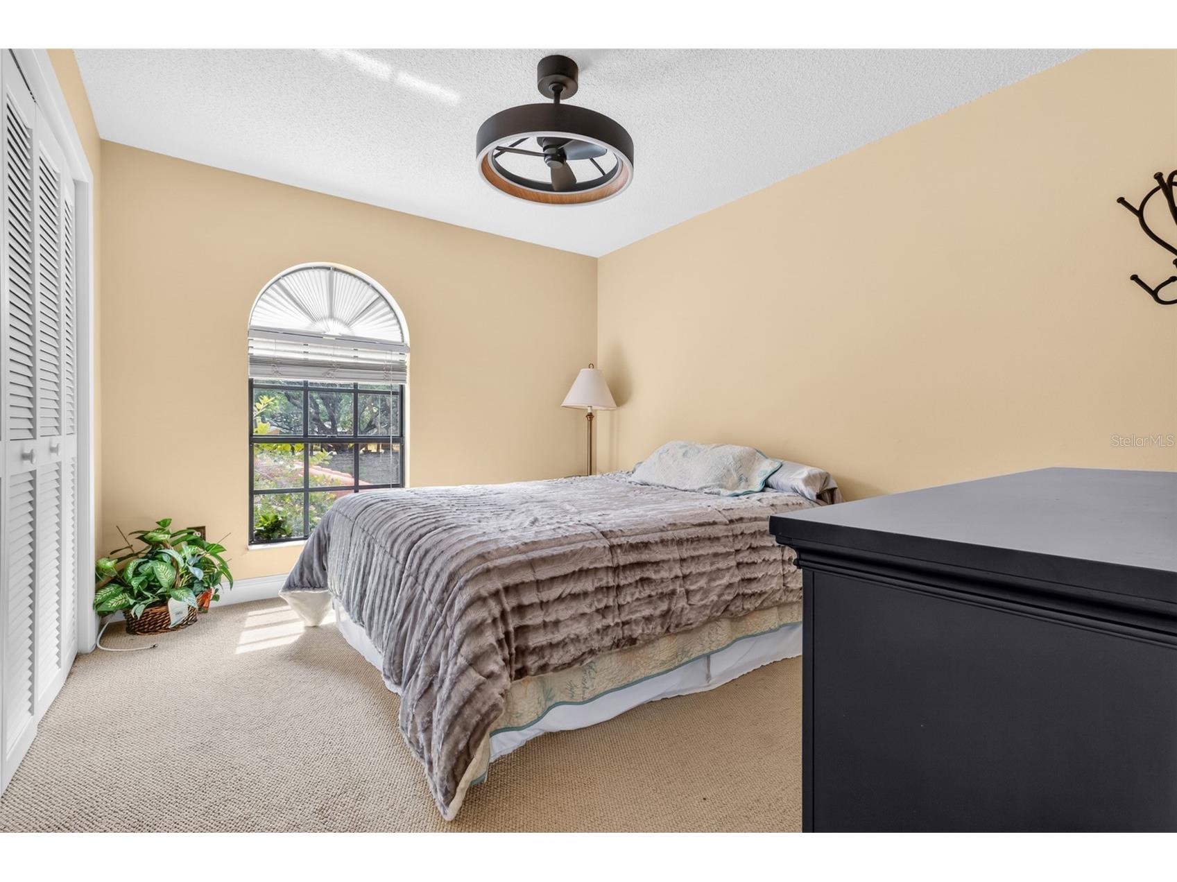 11310 Linarbor Place Tampa FL 33617 TB8508653 image20