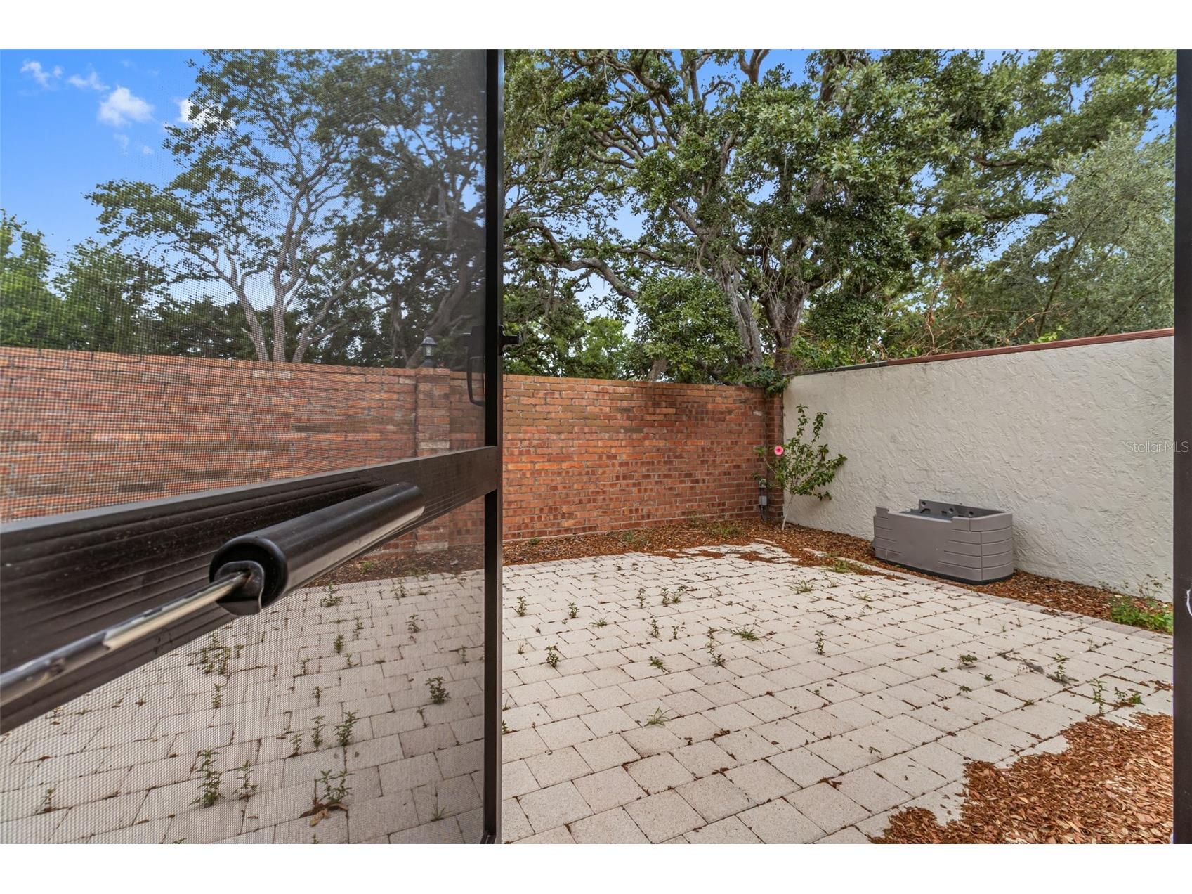 11310 Linarbor Place Tampa FL 33617 TB8508653 image25