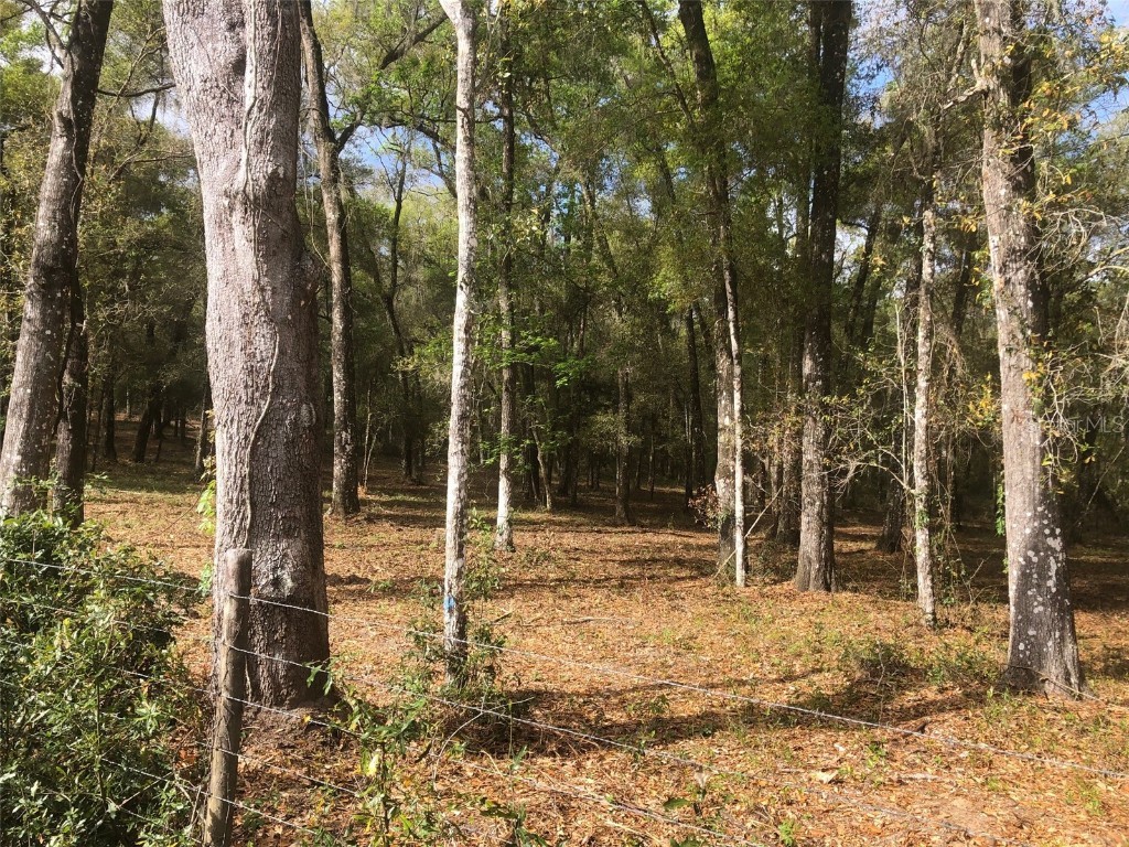 11310 S Pleasant Grove Road Inverness FL 34452 OM661263 image1