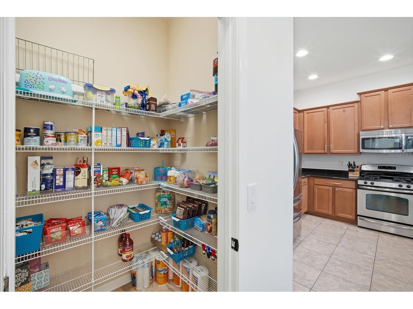11310 Winthrop Lake Drive Riverview FL 33578 TB8499421 image12