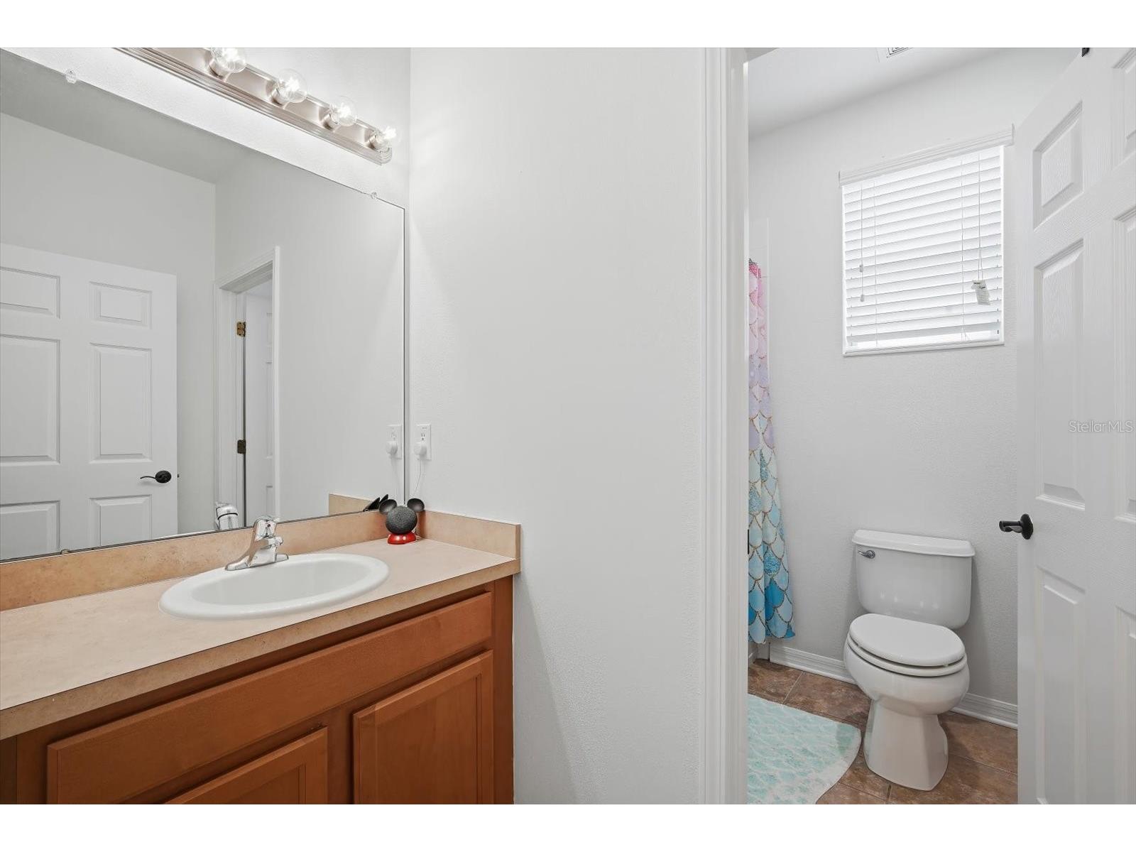 11310 Winthrop Lake Drive Riverview FL 33578 TB8499421 image23