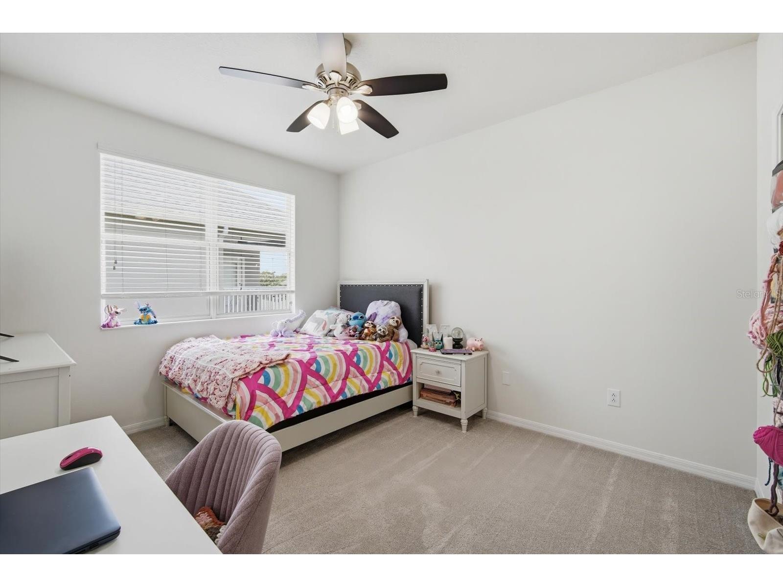 11310 Winthrop Lake Drive Riverview FL 33578 TB8499421 image24