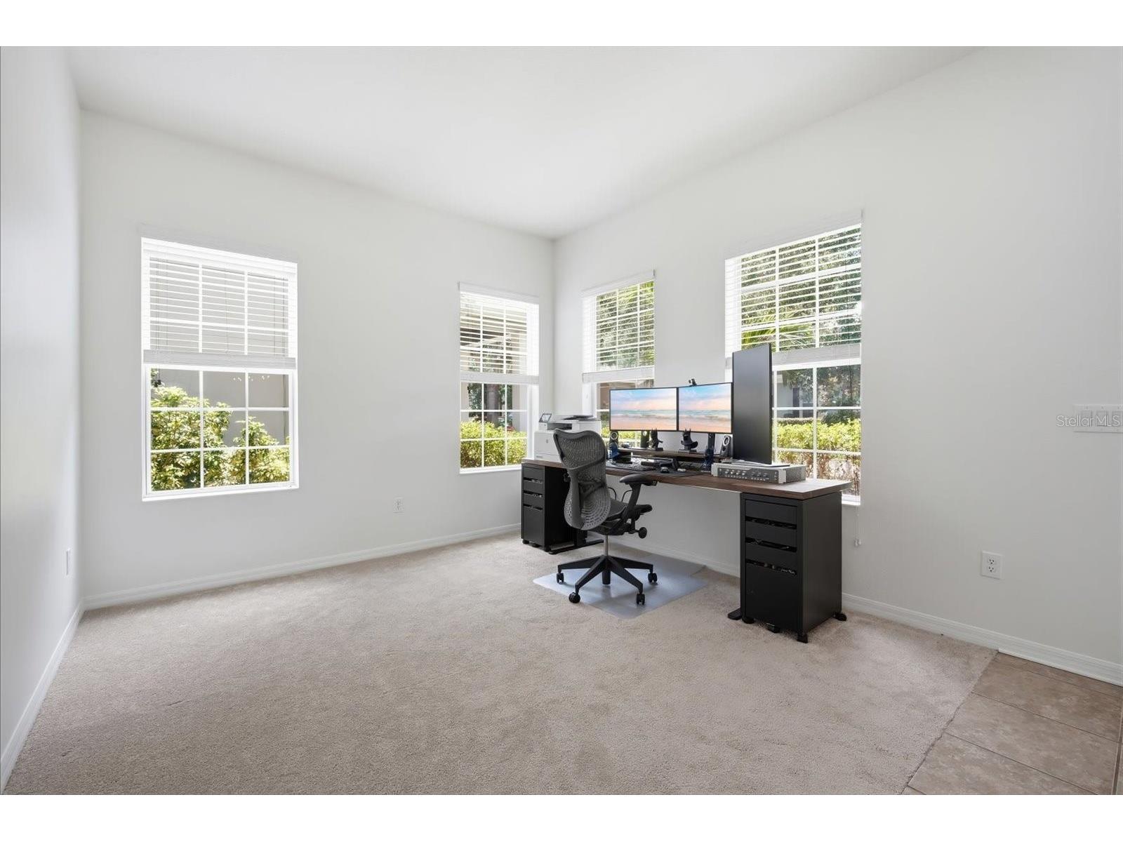 11310 Winthrop Lake Drive Riverview FL 33578 TB8499421 image7