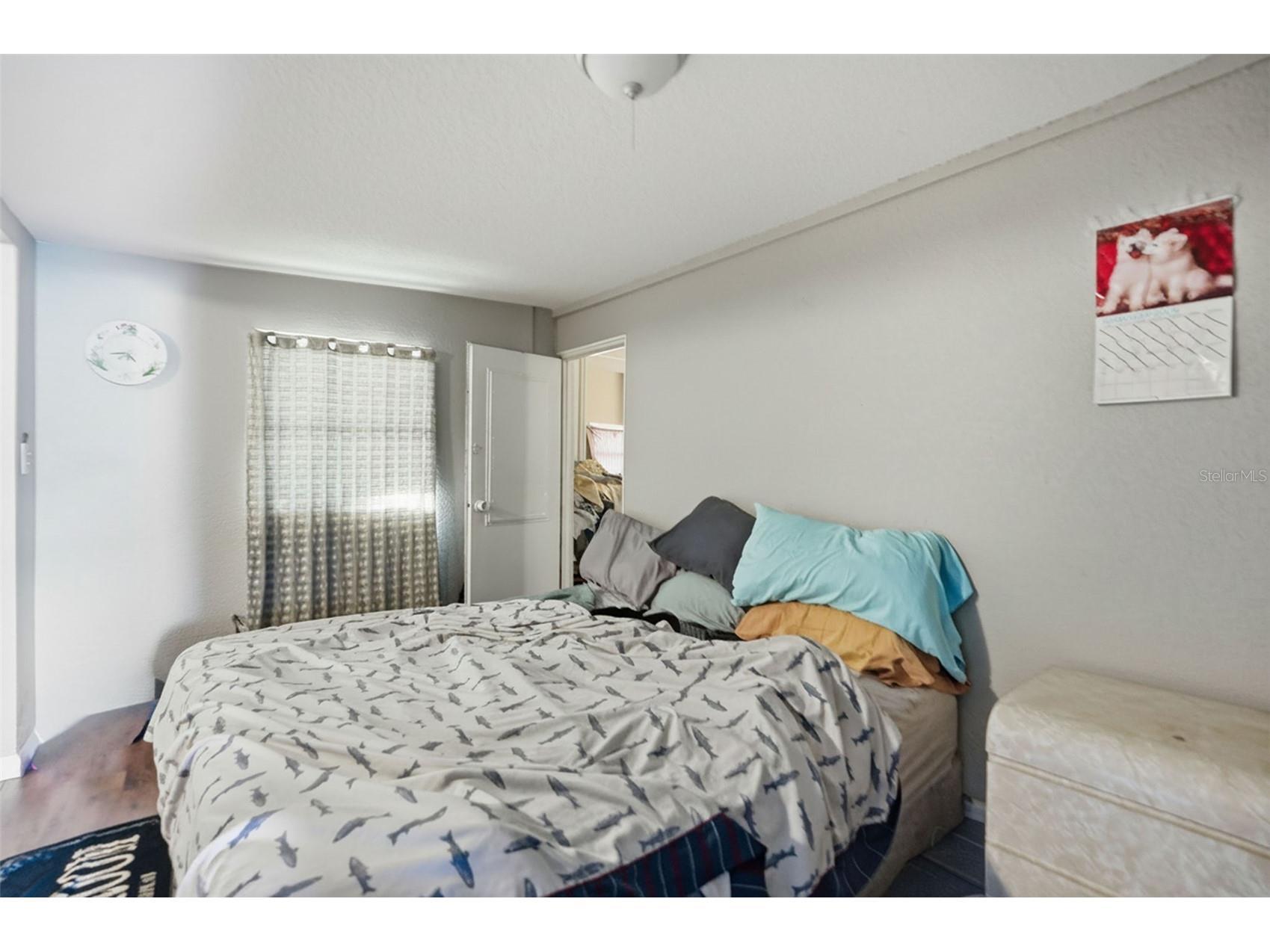 11311 Altoona Avenue New Port Richey FL 34654 W7883366 image5
