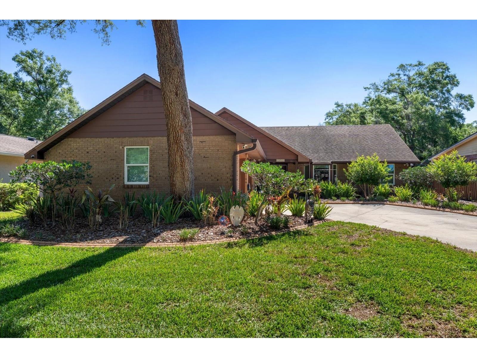 11311 Linbanks Place Tampa FL 33617 TB8522111 image50