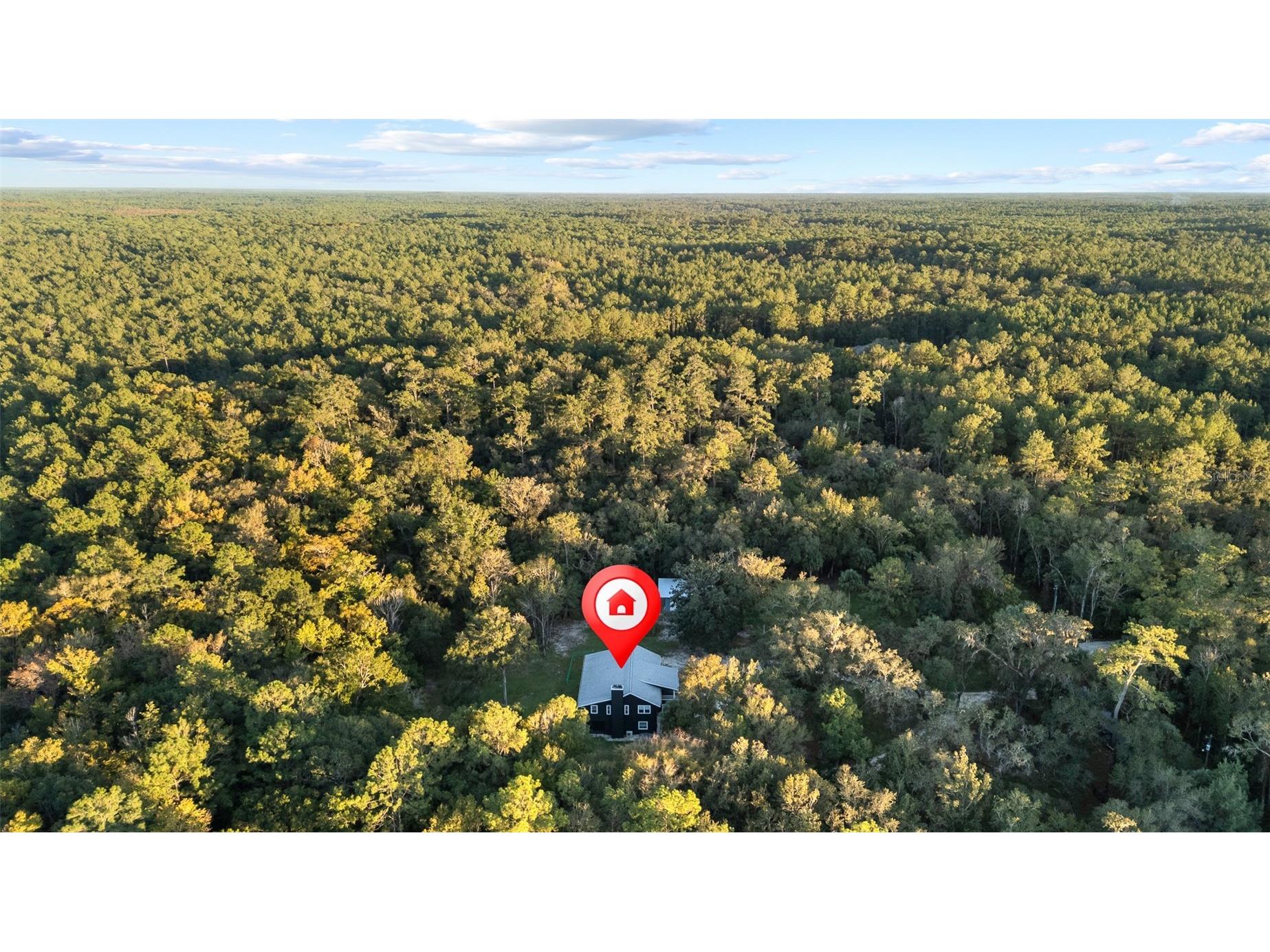 11311 NE 40th Street Road Silver Springs FL 34488 TB8456289 image69